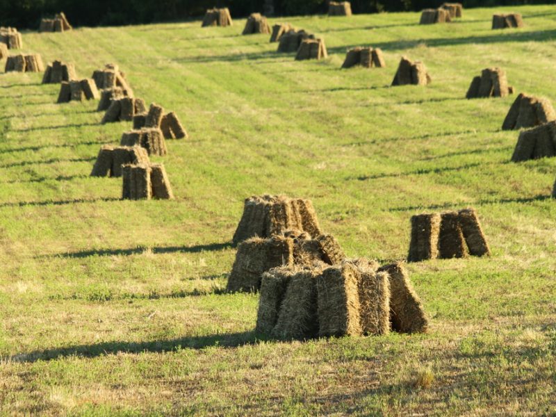 Hooibalen Toscane