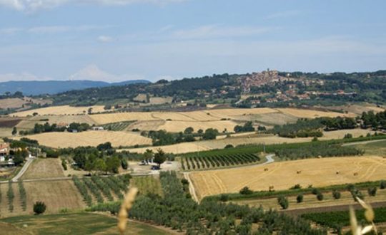 Agriturismo Eucaliptus - Toscana.nl