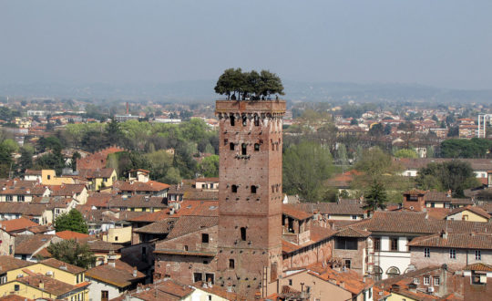 3 bezienswaardigheden in Lucca!