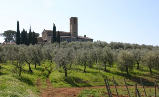 Naar Toscane in de herfstvakantie