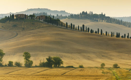 Crete Senesi