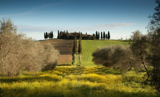 Een warm zonnetje op je gezicht in het mooie Toscane