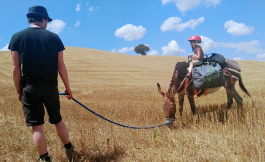 Wandelvakanties en ezeltochten in Toscane