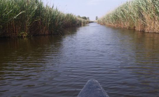 Toscane buiten de gebaande paden; bijzondere uitstapjes