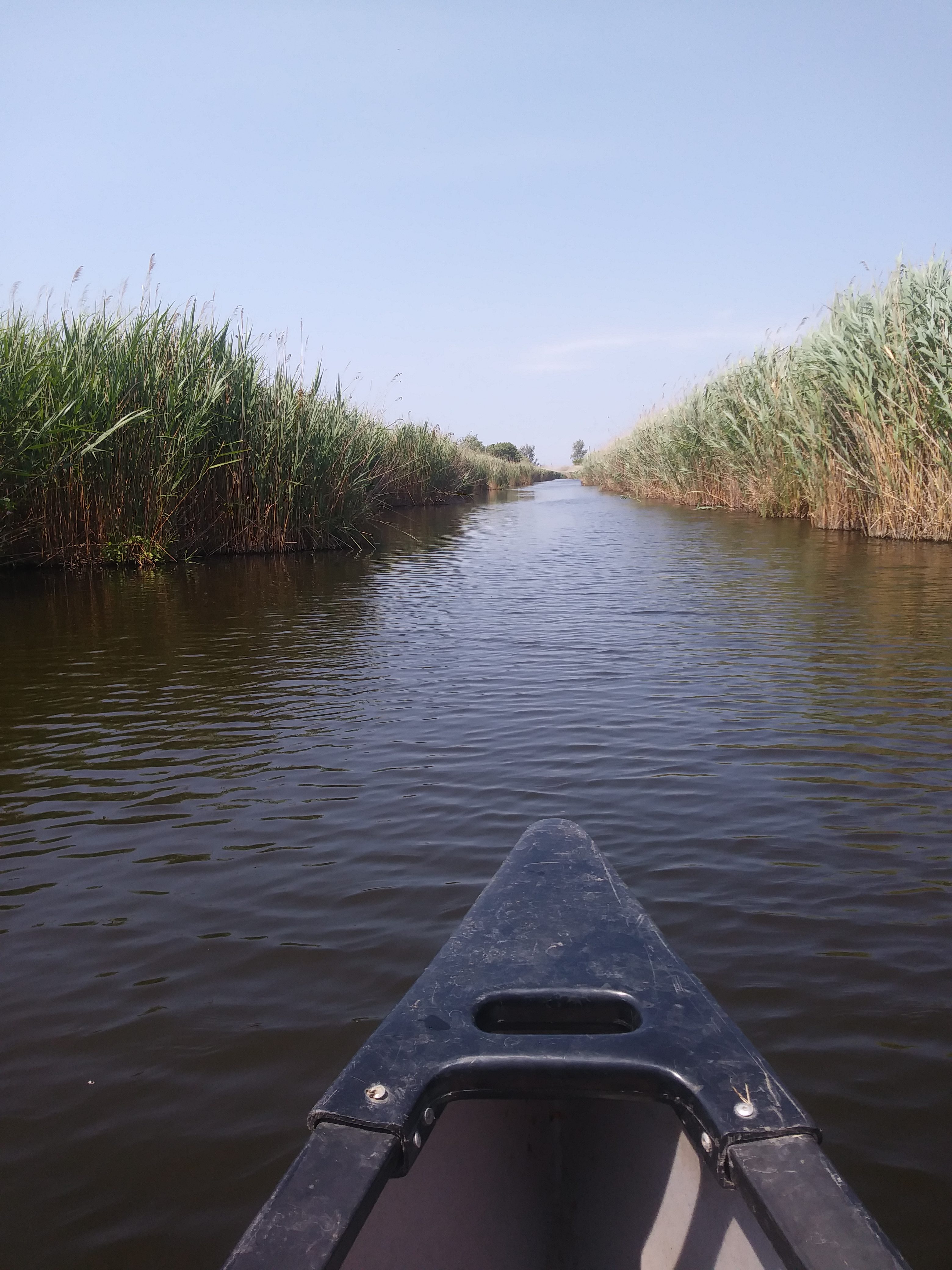 lago massaciuccoli