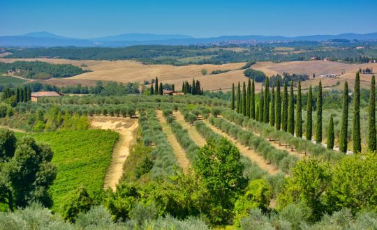 5 leuke ideeën om met je vakantiefoto’s uit Toscane te doen